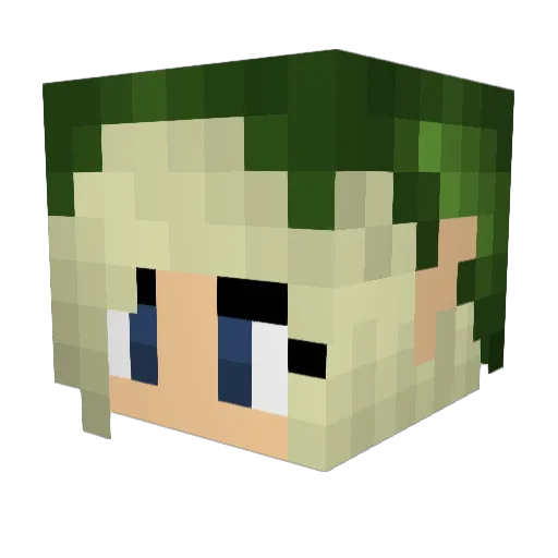 Amsbigaery Minecraft avatar head, 3D render