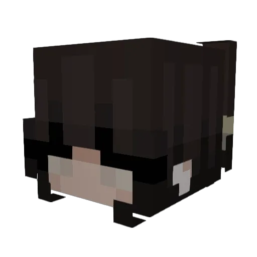 Amshortie Minecraft avatar head, 3D render