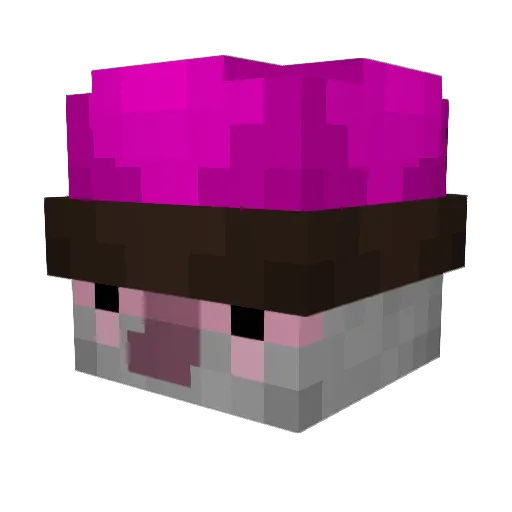 Amthius Minecraft avatar head, 3D render