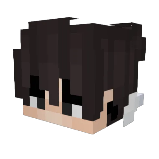 Amund_sen Minecraft avatar head, 3D render