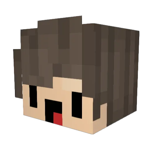 Amung_Us Minecraft avatar head, 3D render