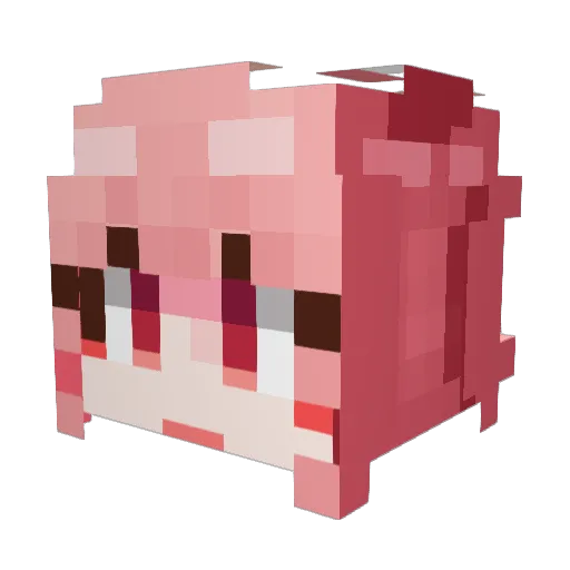 Amur_ Minecraft avatar head, 3D render