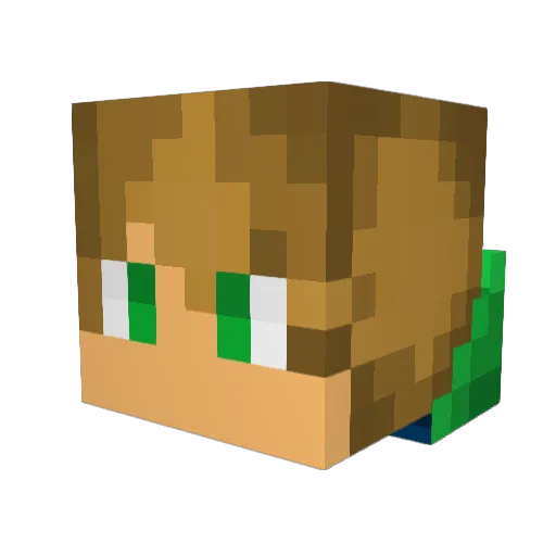 Amurican_Failure Minecraft avatar head, 3D render