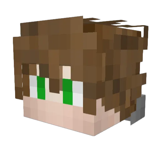AmvArctic Minecraft avatar head, 3D render