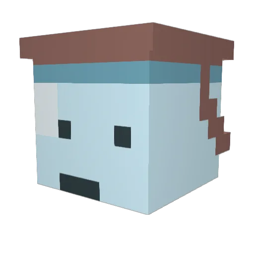 Amy20234 Minecraft avatar head, 3D render