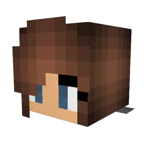 Amy571 Minecraft avatar head, 3D render