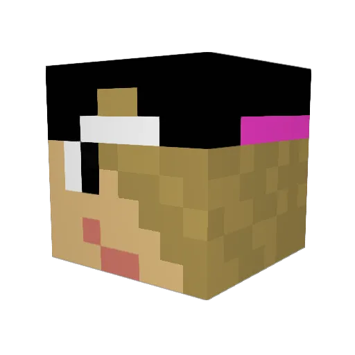 Amy993 Minecraft avatar head, 3D render