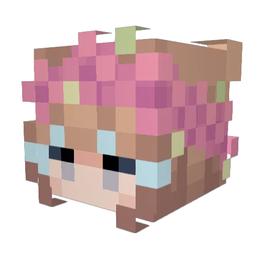 AmyClover Minecraft avatar head, 3D render