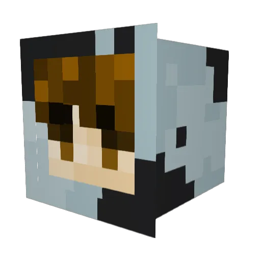 AmyElizabeth1993 Minecraft avatar head, 3D render