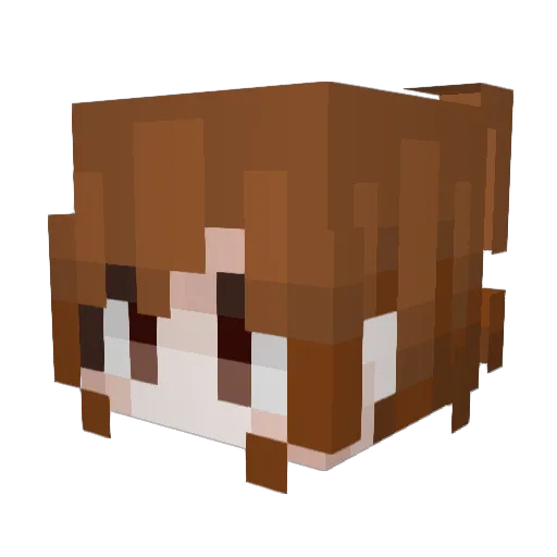 AmyLi2005 Minecraft avatar head, 3D render
