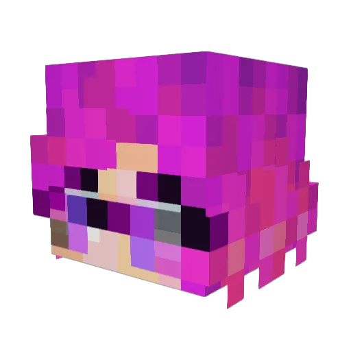 AmyMialee Minecraft avatar head, 3D render
