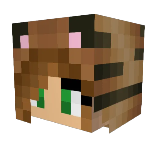 Amy_Cake Minecraft avatar head, 3D render