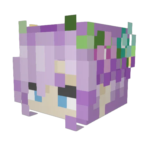 Amy_Rose Minecraft avatar head, 3D render