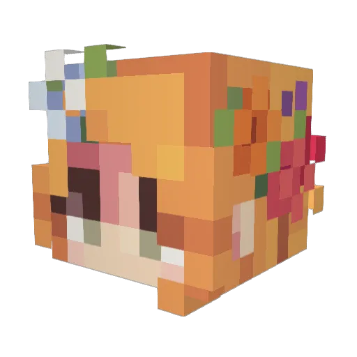Amybutterfly11 Minecraft avatar head, 3D render