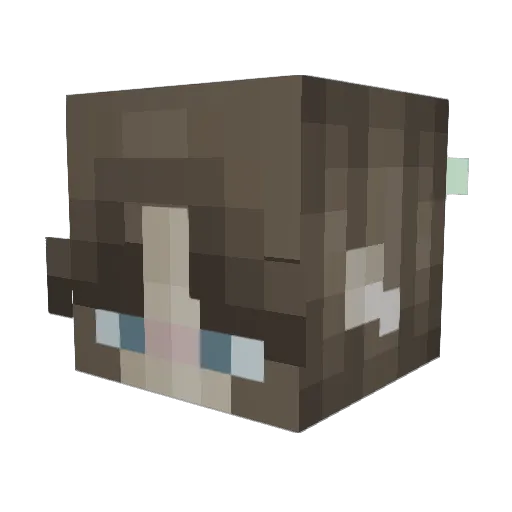Amyfart Minecraft avatar head, 3D render