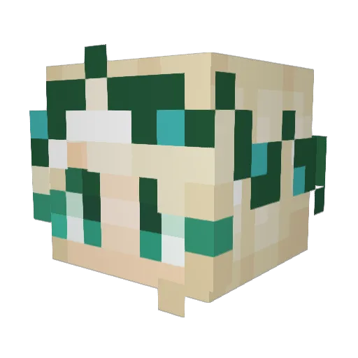 AmyisAwsome Minecraft avatar head, 3D render