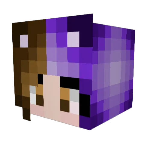 Amykit Minecraft avatar head, 3D render