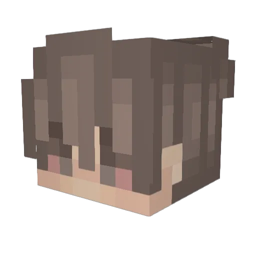 Amyloid Minecraft avatar head, 3D render