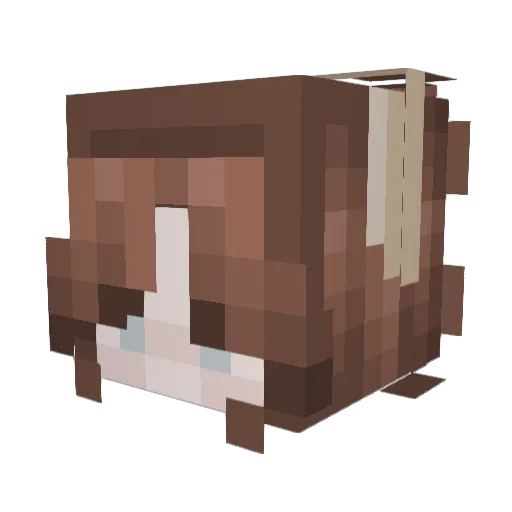 Amylynn12 Minecraft avatar head, 3D render