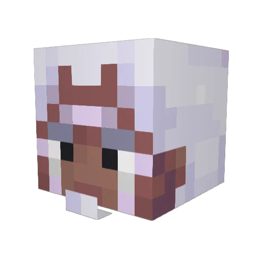 Amymon44 Minecraft avatar head, 3D render