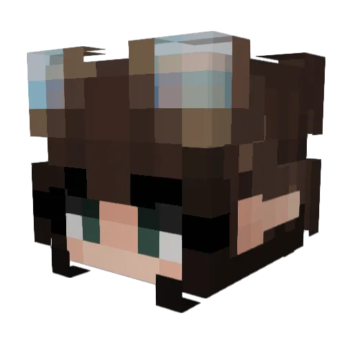 AmysanW Minecraft avatar head, 3D render
