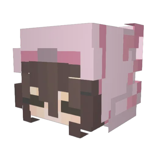 Amyways Minecraft avatar head, 3D render