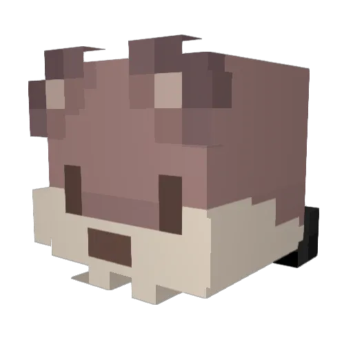Amywheddon Minecraft avatar head, 3D render