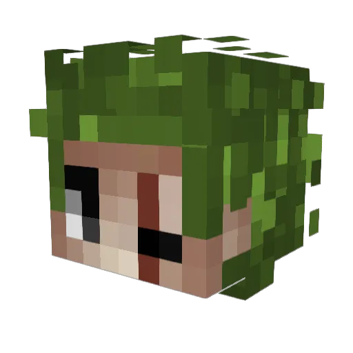 AmzG2004 Minecraft avatar head, 3D render