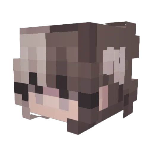 Amz_2009 Minecraft avatar head, 3D render