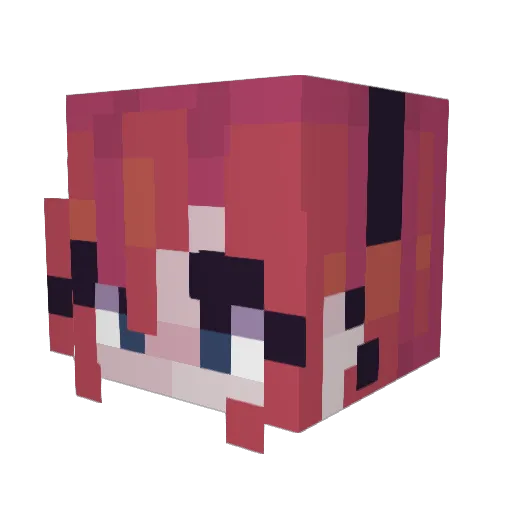 An0maly8016 Minecraft avatar head, 3D render