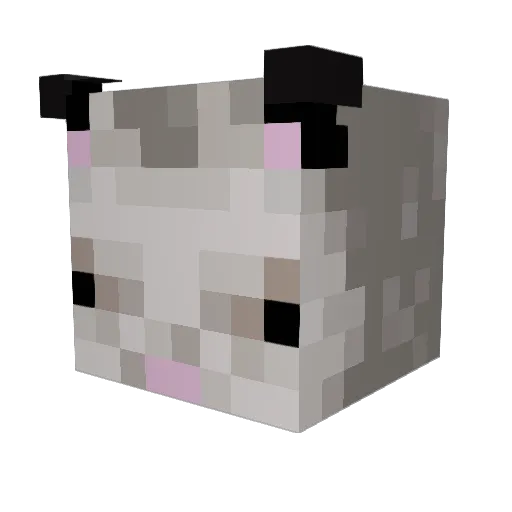 An0rph4n Minecraft avatar head, 3D render