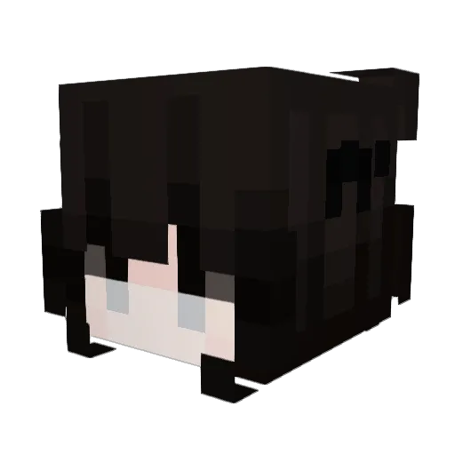 An0x_03 Minecraft avatar head, 3D render