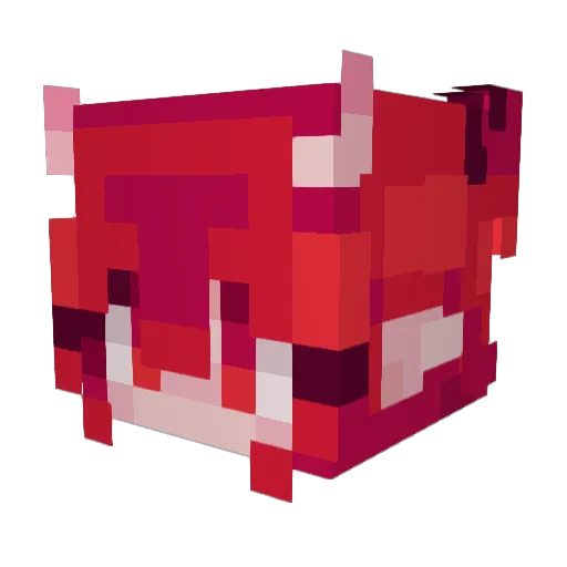 An1meHunter Minecraft avatar head, 3D render
