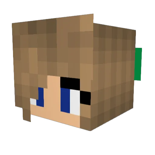 An4rchy_6 Minecraft avatar head, 3D render