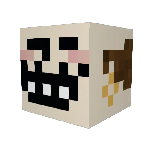 An7uny Minecraft avatar head, 3D render