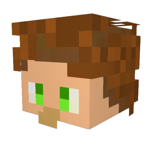 AnAcquaintancee Minecraft avatar head, 3D render