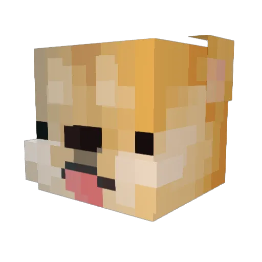 AnActualPug Minecraft avatar head, 3D render