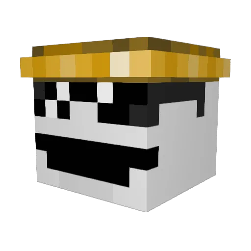 AnAlternateFrog Minecraft avatar head, 3D render