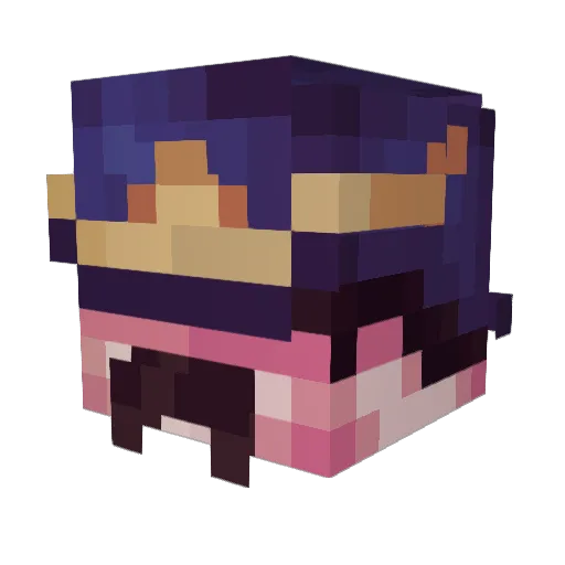 AnAverageLad Minecraft avatar head, 3D render