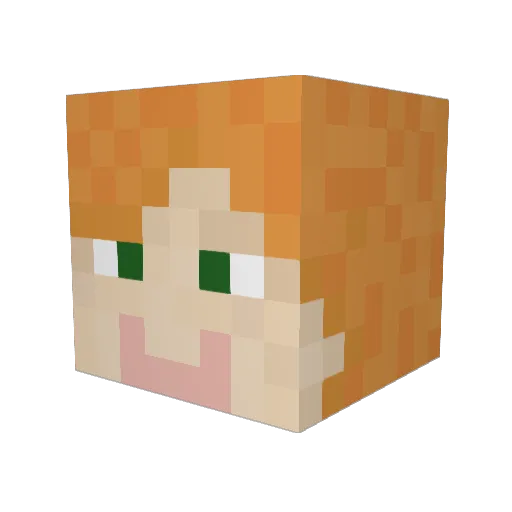 AnAverageTermNon Minecraft avatar head, 3D render