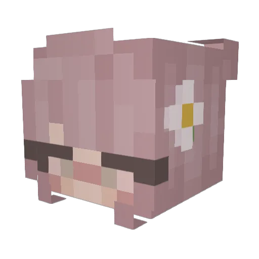 AnAvocadoo Minecraft avatar head, 3D render