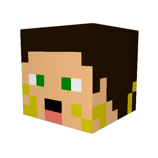 AnAwkwardSponge Minecraft avatar head, 3D render