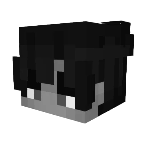 AnDrKickRocks Minecraft avatar head, 3D render