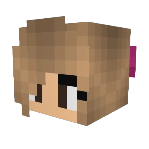 AnElise0501 Minecraft avatar head, 3D render