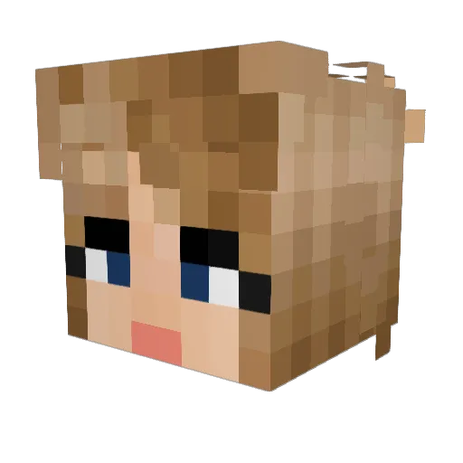 AnEnbyElf Minecraft avatar head, 3D render