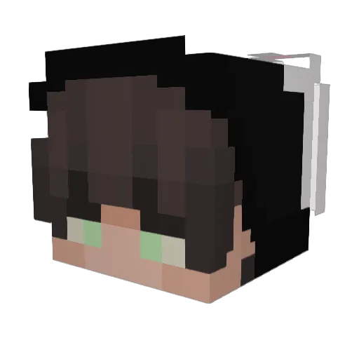 AnExpensiveOwl Minecraft avatar head, 3D render