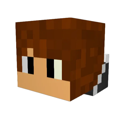 AnGry_ReX Minecraft avatar head, 3D render