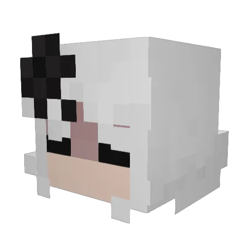 AnIdiotInATree Minecraft avatar head, 3D render