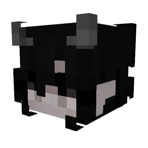 AnLoAn11 Minecraft avatar head, 3D render