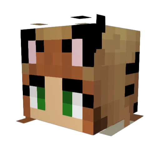 AnMeow Minecraft avatar head, 3D render